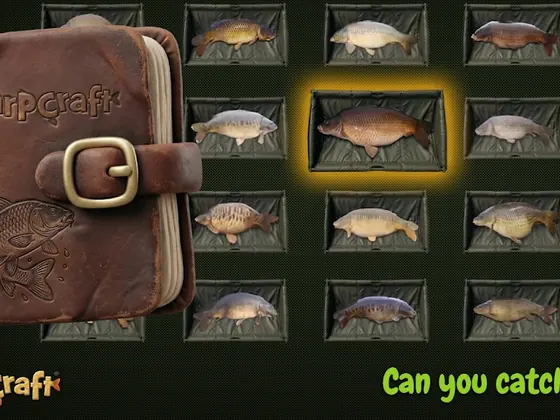 Carpcraft: diário de cabedal aberto ao lado de uma grelha de carpas colecionadas