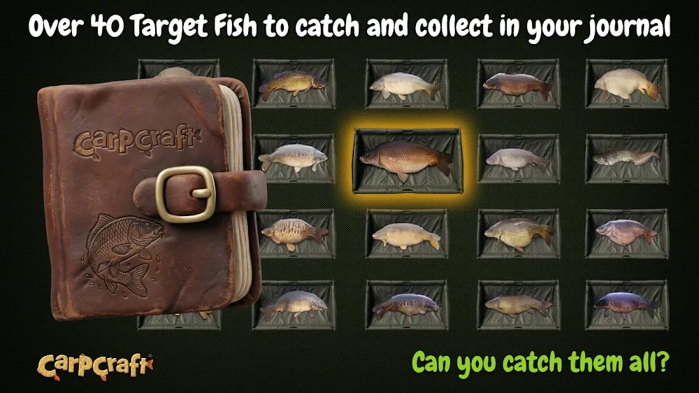 Carpcraft: diário de cabedal e grelha com mais de quarenta carpas-alvo, uma delas destacada